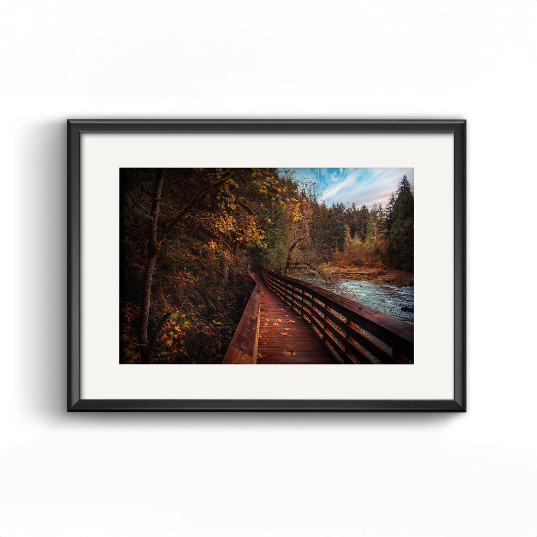 Autumn Forest Boardwalk | PNW Landscape Fine Art Print | Nature Wall Art Metal, Canvas, Paper, Acrylic Chris Fabregas Photography Wall Art print High-quality fine art photography print