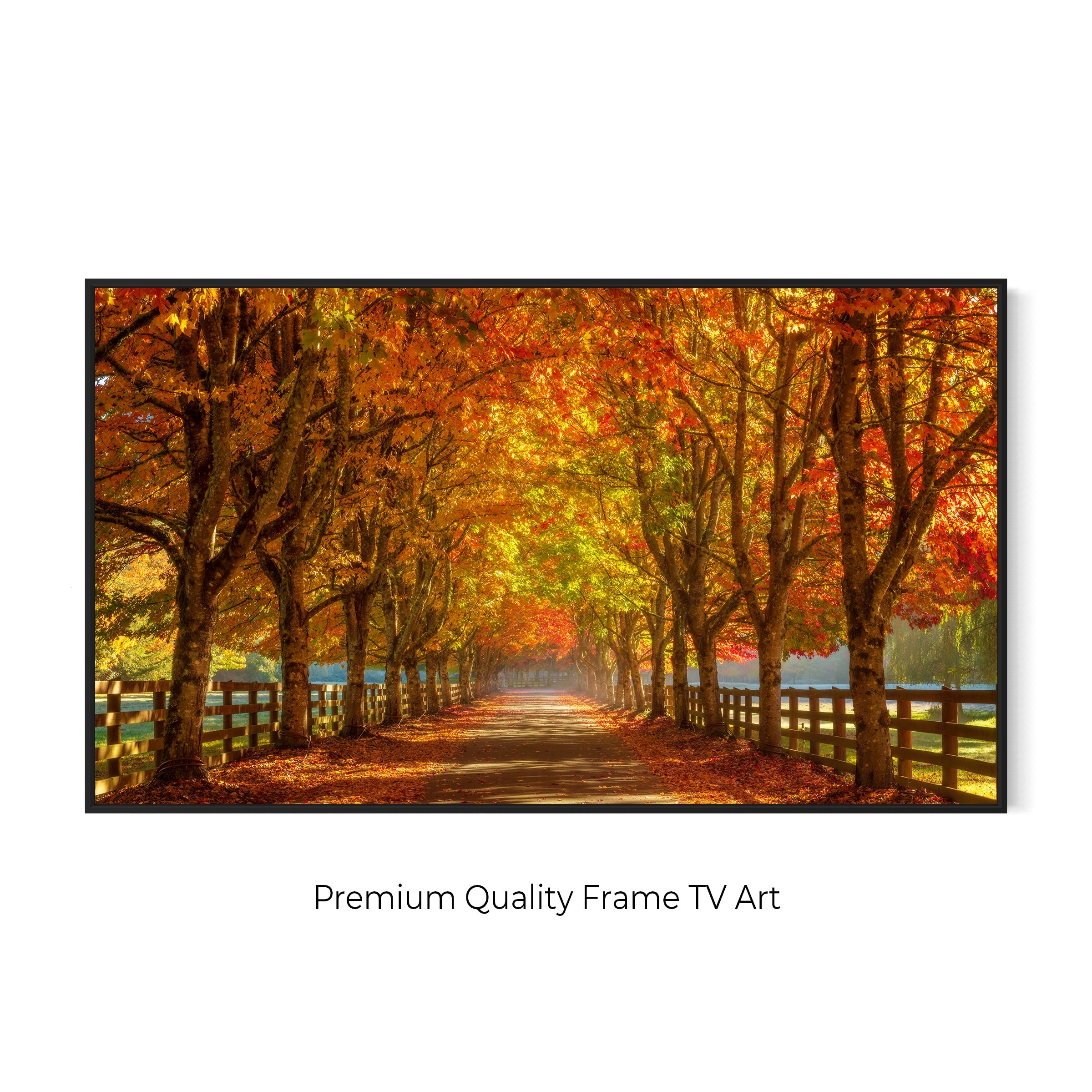 Autumn Road Digital Art for Samsung Frame TV | Vibrant Fall