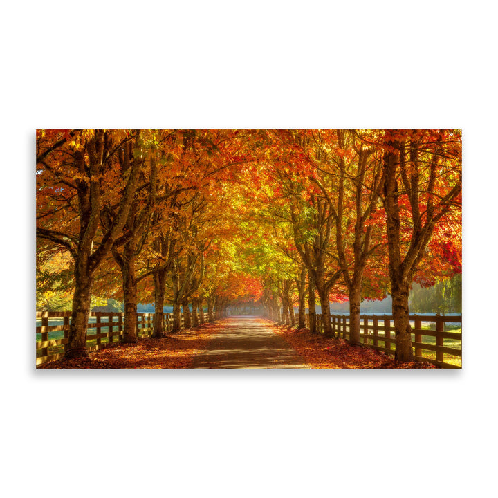 Chris Fabregas Fine Art Photography Digital Download Autumn Road Digital Art for Samsung Frame TV | Vibrant Fall Wall Art Wall Art print High-quality fine art photography print