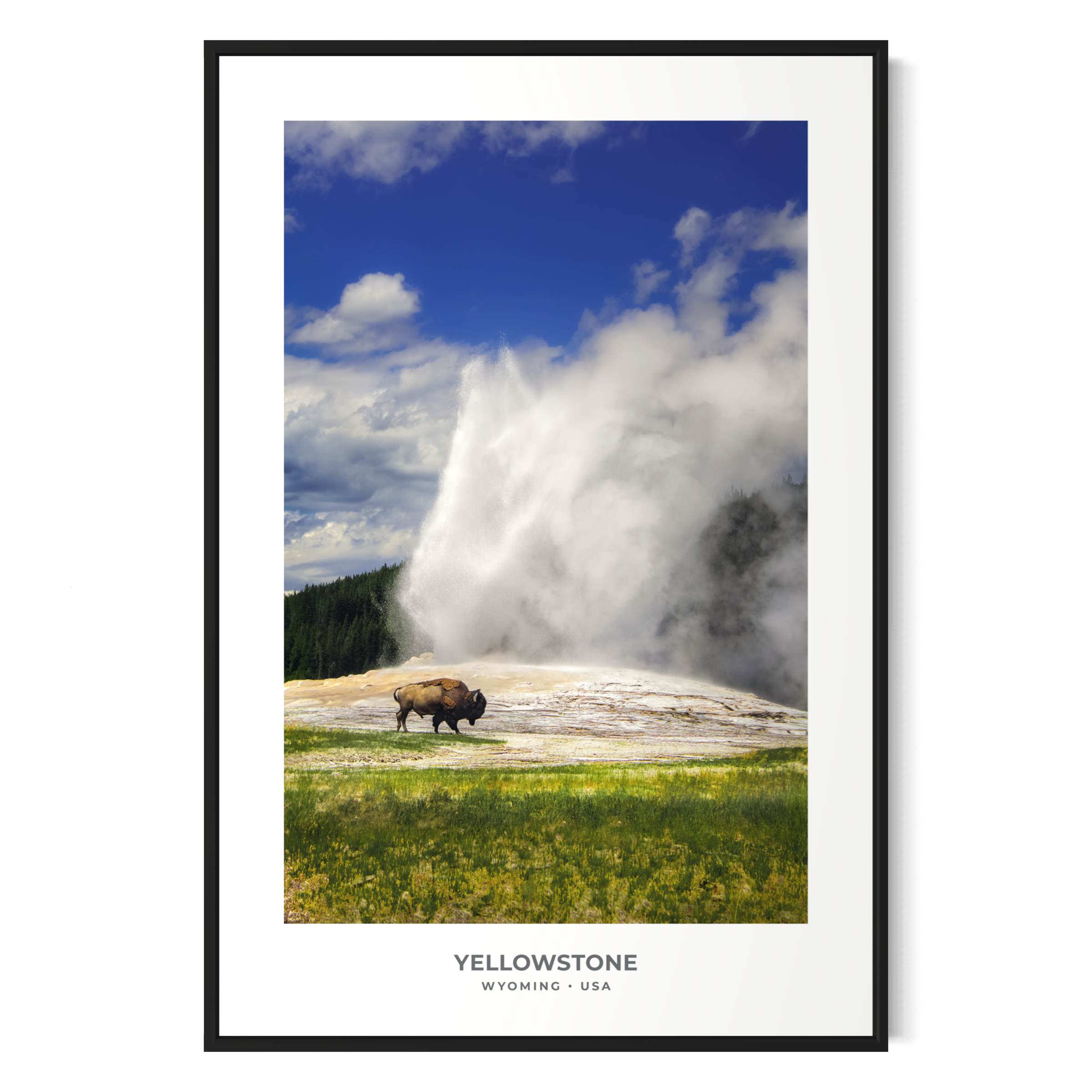 Bison & Old Faithful – Yellowstone National Park Digital