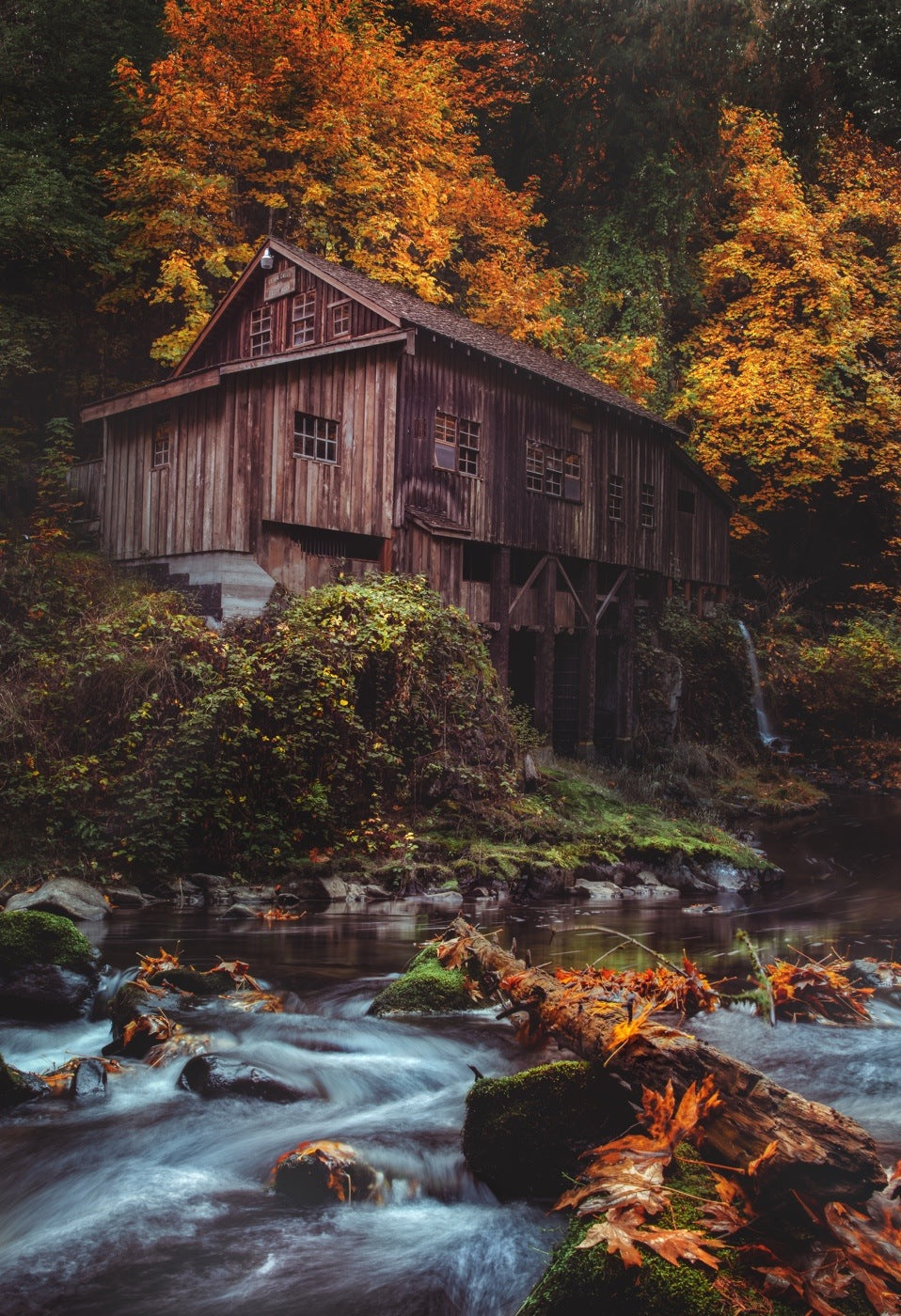 Weathered wooden grist mill above a flowing stream, surrounded by orange autumn leaves