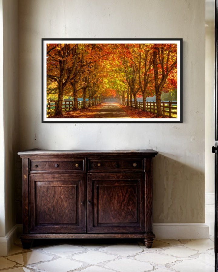 Chris Fabregas Fine Art Photography Digital Download Autumn Road Digital Art for Samsung Frame TV | Vibrant Fall Wall Art Wall Art print High-quality fine art photography print 