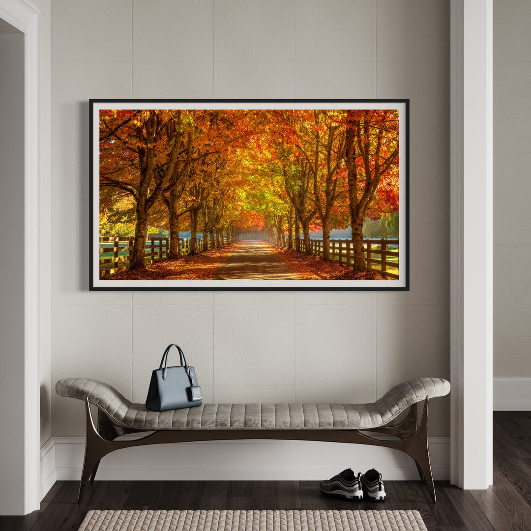 Chris Fabregas Fine Art Photography Digital Download Autumn Road Digital Art for Samsung Frame TV | Vibrant Fall Wall Art Wall Art print High-quality fine art photography print 