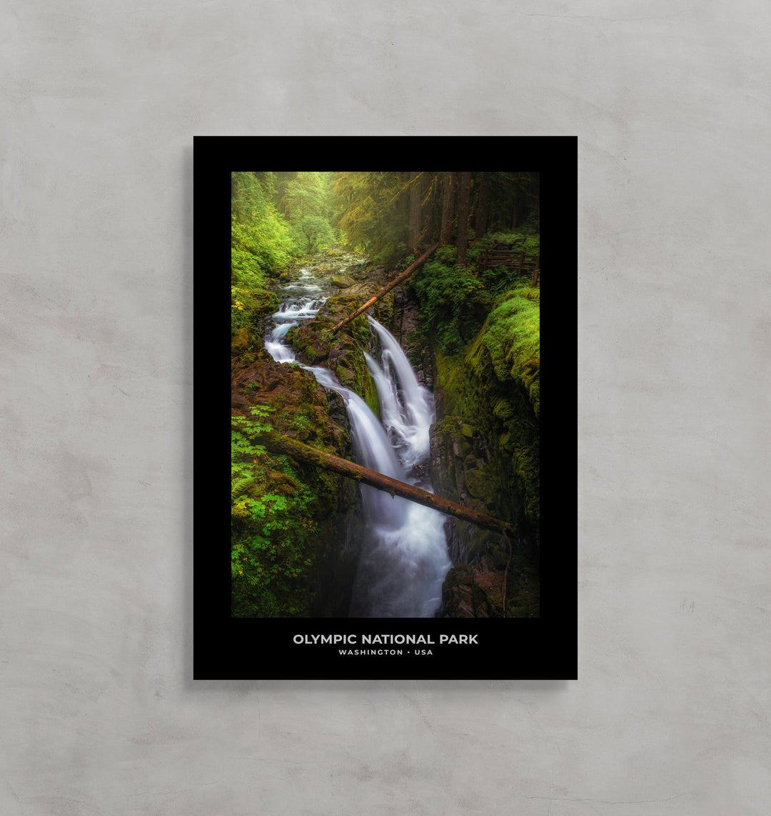 Chris Fabregas Fine Art Photography Digital Download Olympic National Park: Sol Duc Falls Digital Download, PNW Decor Wall Art print High-quality fine art photography print 