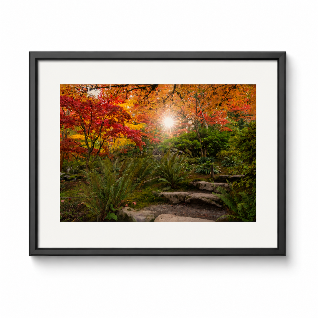 Seattle Japanese Garden Autumn Sunburst Fine Art Print in a black frame with white mat