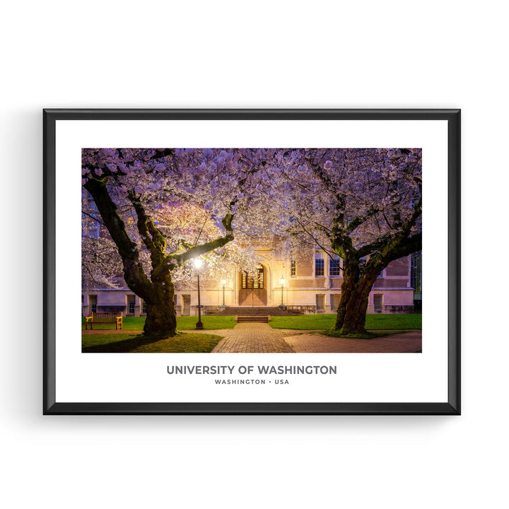 Chris Fabregas Fine Art Photography Digital Download UW Cherry Blossoms Printable Art, University of Washington Wall Decor Wall Art print High-quality fine art photography print 