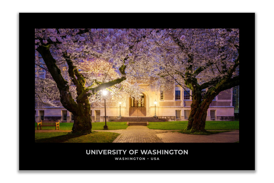 Chris Fabregas Fine Art Photography Digital Download UW Cherry Blossoms Printable Art, University of Washington Wall Decor Wall Art print High-quality fine art photography print 