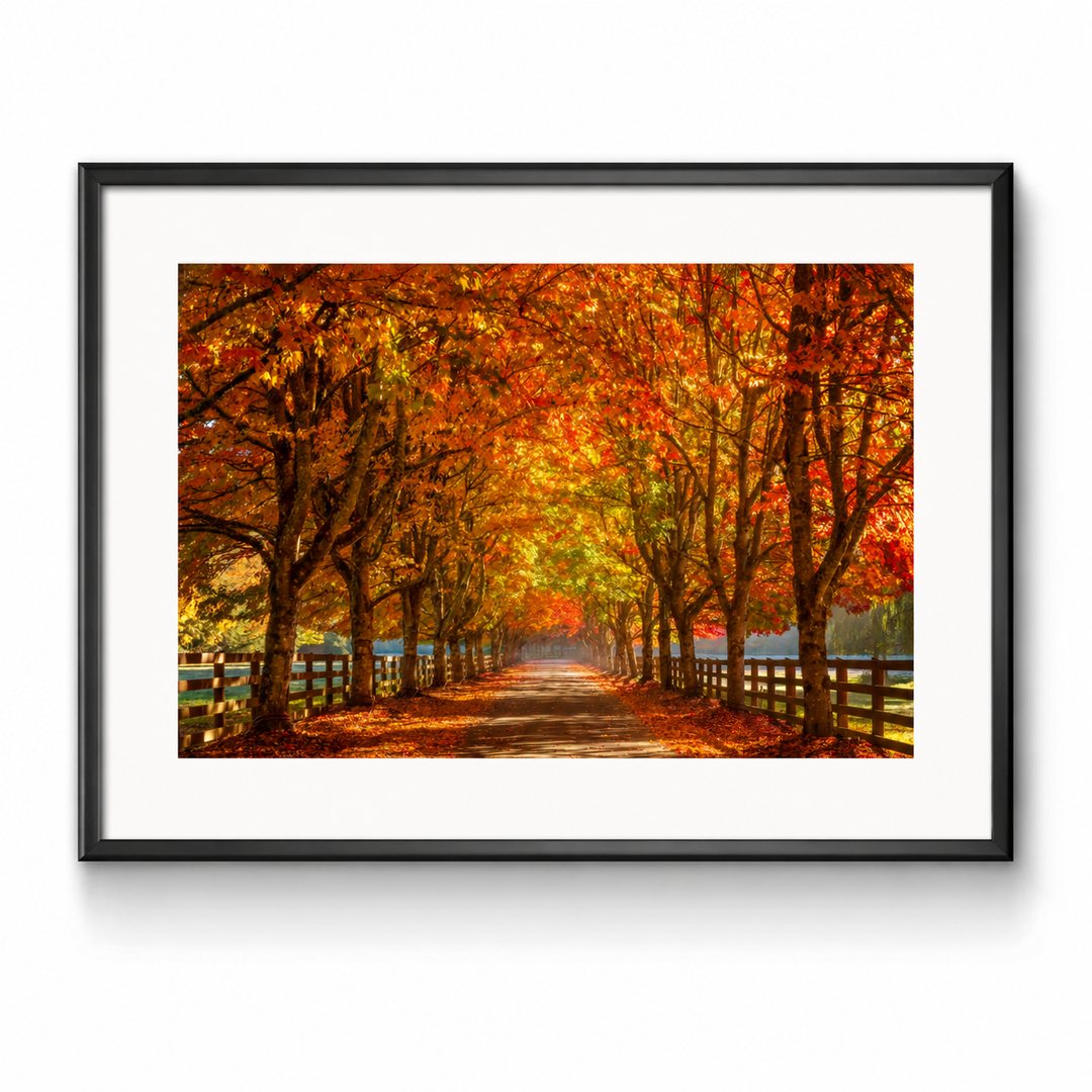 Seattle Autumn Colors Fine Art Photography Print in a black frame with white mat