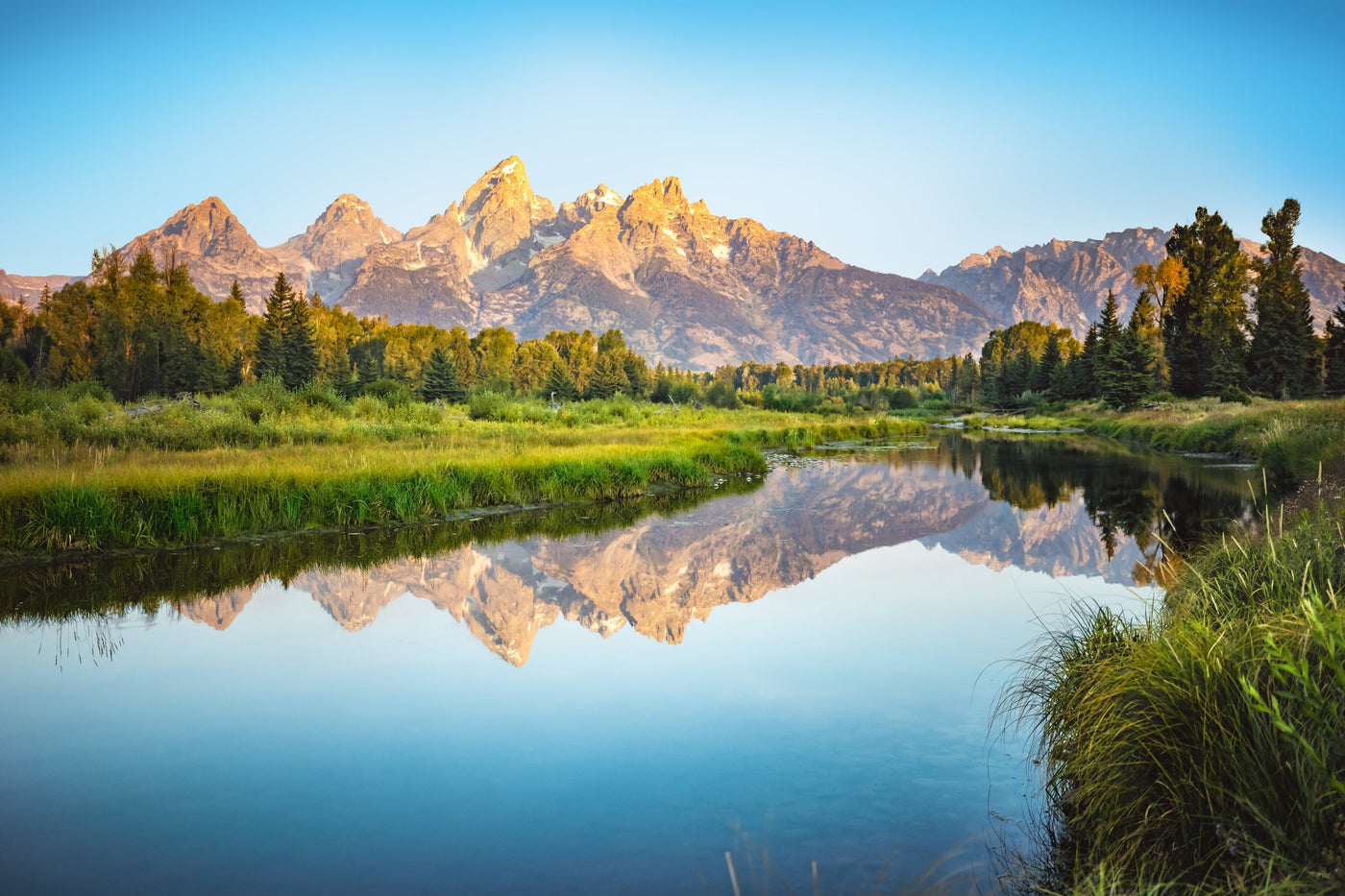 Schwabacher Landing Grand Teton displayed in a contemporary room interior