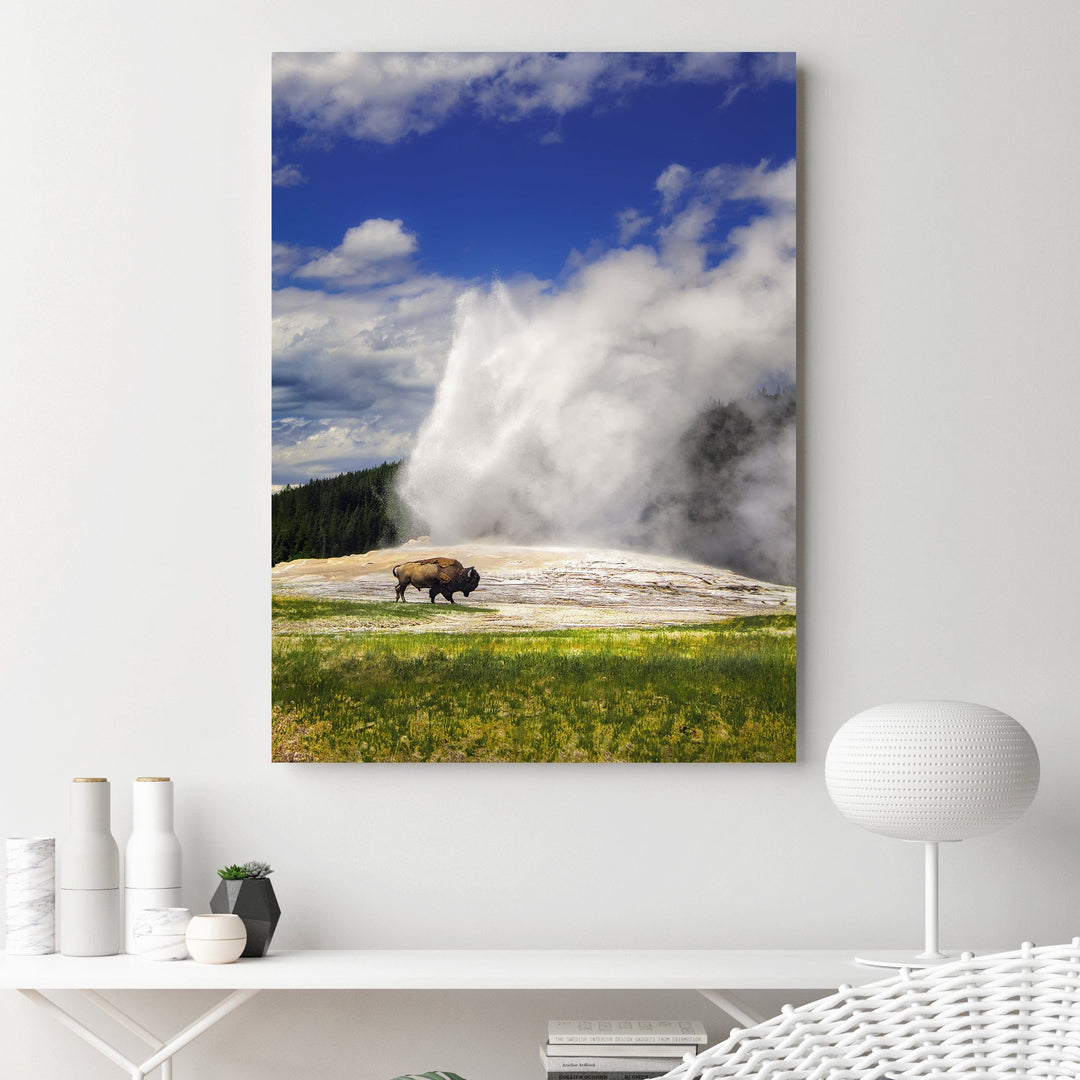 Chris Fabregas Photography Metal, Canvas, Paper YELLOWSTONE OLD FAITHFUL Bison Wall Art print