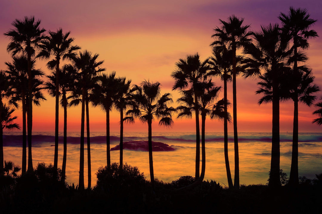 Chris Fabregas Photography Metal, Wood, Canvas, Paper Palm Tree Sunset Laguna Beach Wall Art print