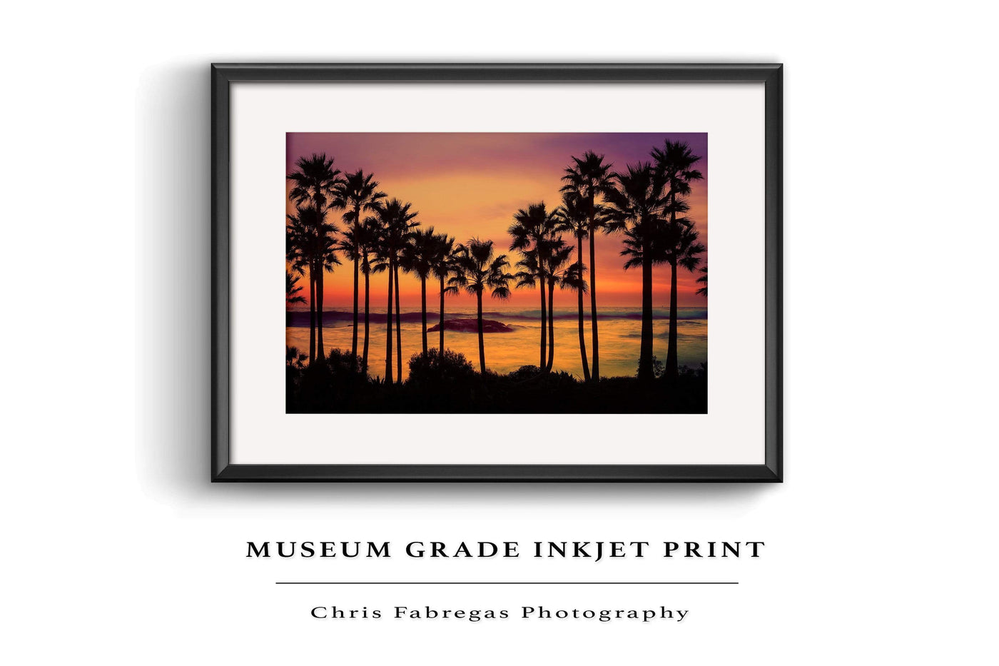 Laguna Beach Palm Tree Sunset displayed in a contemporary room interior