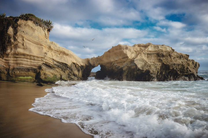 Chris Fabregas Photography Metal, Wood, Canvas, Paper Pearl Street Laguna Beach Wall Art print