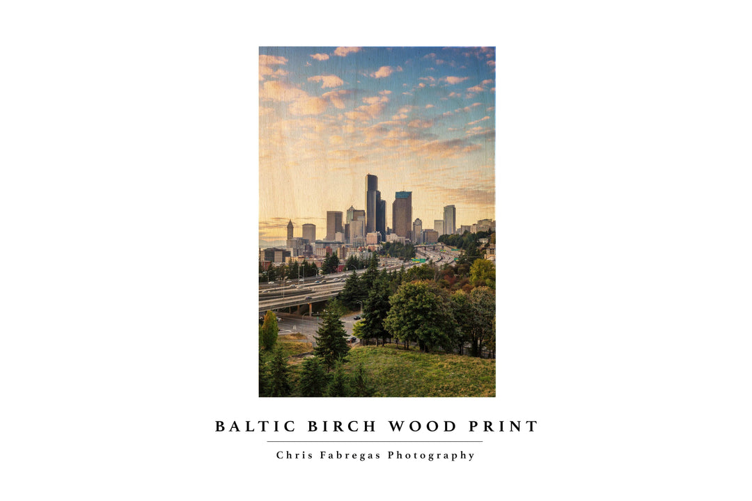 Chris Fabregas Photography Metal, Wood, Canvas, Paper Seattle From Beacon Hill Wall Art print